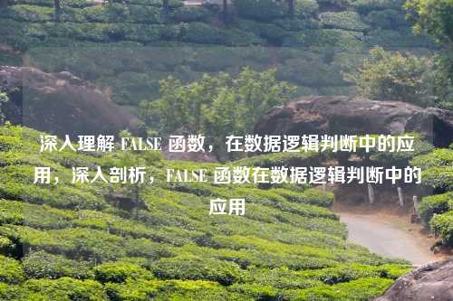 深入理解 FALSE 函数,在数据逻辑判断中的应用,深入剖析,FALSE 函数在数据逻辑判断中的应用