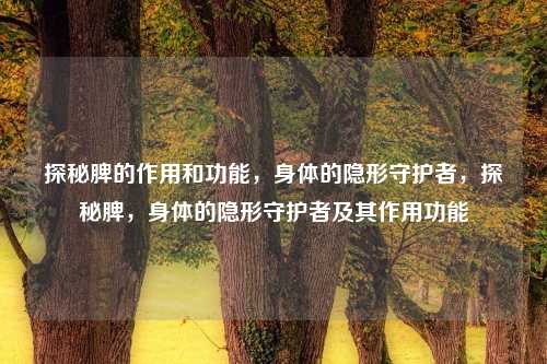 探秘脾的作用和功能,身体的隐形守护者,探秘脾,身体的隐形守护者及其作用功能