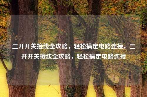 三开开关接线全攻略,轻松搞定电路连接,三开开关接线全攻略,轻松搞定电路连接
