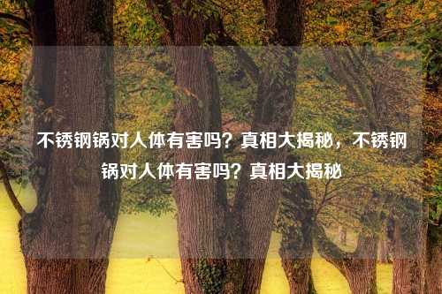 不锈钢锅对人体有害吗?真相大揭秘,不锈钢锅对人体有害吗?真相大揭秘