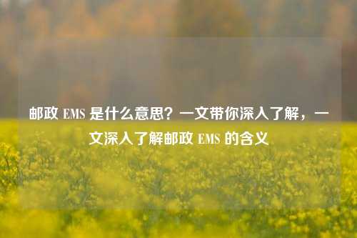 邮政 EMS 是什么意思？一文带你深入了解，一文深入了解邮政 EMS 的含义