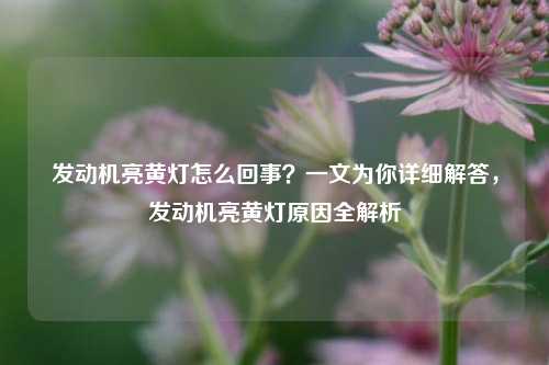 发动机亮黄灯怎么回事?一文为你详细解答,发动机亮黄灯原因全解析