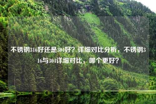 不锈钢316好还是304好？详细对比分析，不锈钢316与304详细对比，哪个更好？