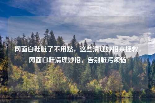 网面白鞋脏了不用愁,这些清理妙招来拯救,网面白鞋清理妙招,告别脏污烦恼