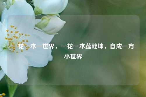 一花一木一世界,一花一木蕴乾坤,自成一方小世界