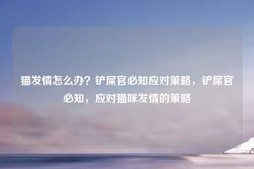 猫发情怎么办?铲屎官必知应对策略,铲屎官必知,应对猫咪发情的策略