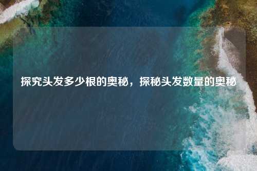 探究头发多少根的奥秘，探秘头发数量的奥秘