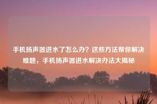 手机扬声器进水了怎么办?这些方法帮你解决难题,手机扬声器进水解决办法大揭秘