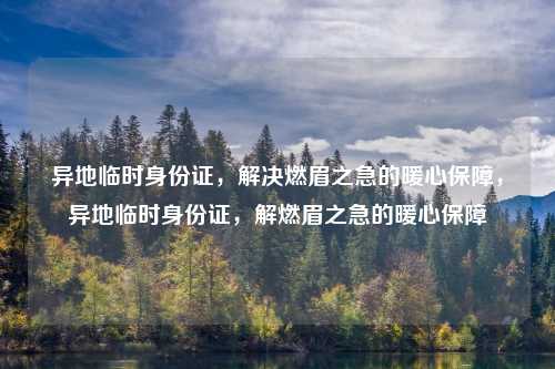 异地临时身份证,解决燃眉之急的暖心保障,异地临时身份证,解燃眉之急的暖心保障