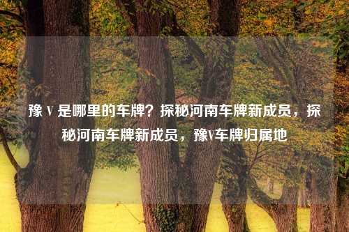 豫 V 是哪里的车牌?探秘河南车牌新成员,探秘河南车牌新成员,豫V车牌归属地