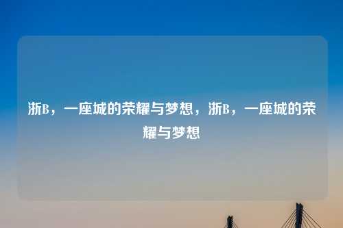 浙B,一座城的荣耀与梦想,浙B,一座城的荣耀与梦想
