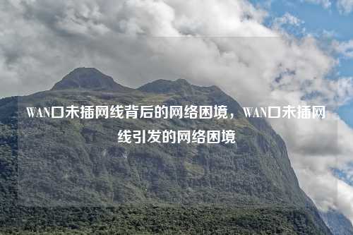 WAN口未插网线背后的网络困境，WAN口未插网线引发的网络困境