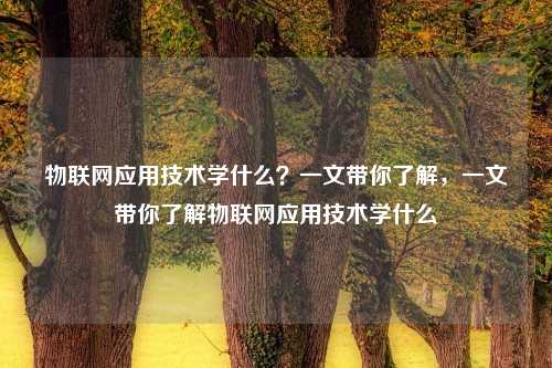 物联网应用技术学什么？一文带你了解，一文带你了解物联网应用技术学什么