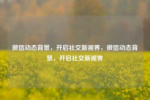 微信动态背景，开启社交新视界，微信动态背景，开启社交新视界