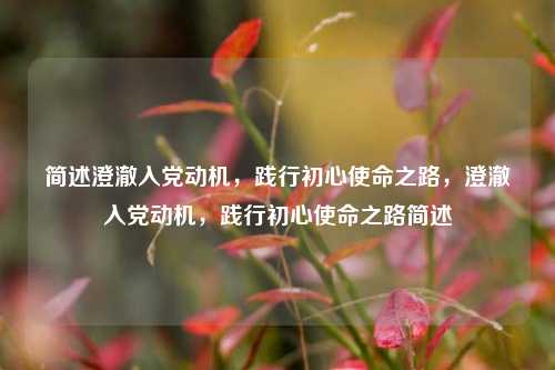 简述澄澈入党动机,践行初心使命之路,澄澈入党动机,践行初心使命之路简述