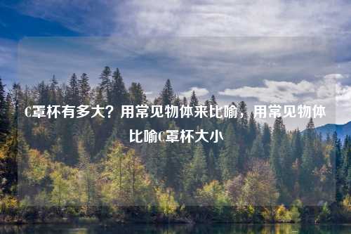C罩杯有多大？用常见物体来比喻，用常见物体比喻C罩杯大小
