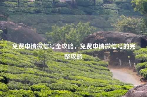 免费申请微信号全攻略,免费申请微信号的完整攻略