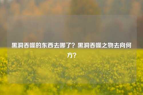 黑洞吞噬的东西去哪了？黑洞吞噬之物去向何方？