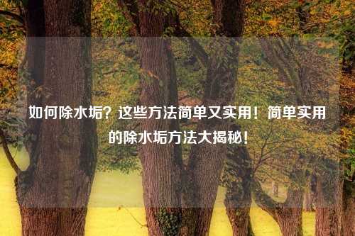 如何除水垢？这些方法简单又实用！简单实用的除水垢方法大揭秘！