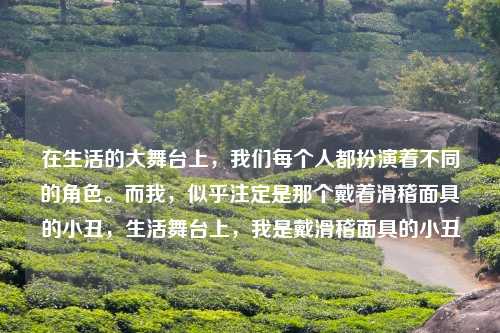 在生活的大舞台上，我们每个人都扮演着不同的角色。而我，似乎注定是那个戴着滑稽面具的小丑，生活舞台上，我是戴滑稽面具的小丑