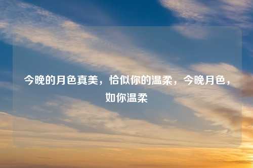 今晚的月色真美,恰似你的温柔,今晚月色,如你温柔