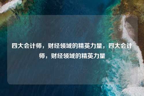 四大会计师,财经领域的精英力量,四大会计师,财经领域的精英力量