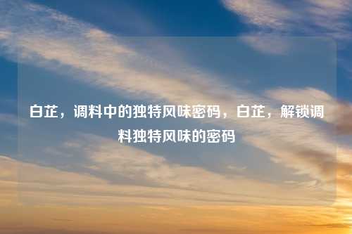 白芷,调料中的独特风味密码,白芷,解锁调料独特风味的密码