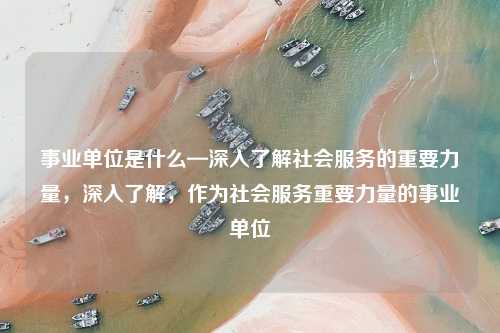 事业单位是什么—深入了解社会服务的重要力量,深入了解,作为社会服务重要力量的事业单位