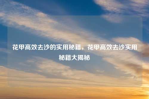 花甲高效去沙的实用秘籍,花甲高效去沙实用秘籍大揭秘