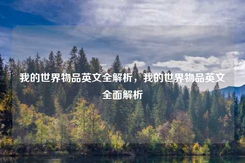 我的世界物品英文全解析,我的世界物品英文全面解析