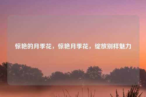 惊艳的月季花,惊艳月季花,绽放别样魅力