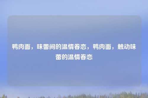 鸭肉面，味蕾间的温情眷恋，鸭肉面，触动味蕾的温情眷恋