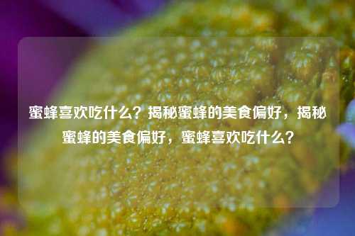 蜜蜂喜欢吃什么?揭秘蜜蜂的美食偏好,揭秘蜜蜂的美食偏好,蜜蜂喜欢吃什么?
