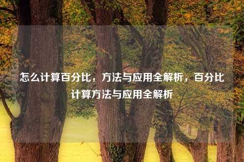 怎么计算百分比，方法与应用全解析，百分比计算方法与应用全解析
