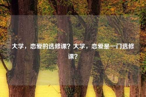 大学,恋爱的选修课?大学,恋爱是一门选修课?