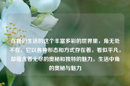 在我们生活的这个丰富多彩的世界里,角无处不在,它以各种形态和方式存在着,看似平凡,却蕴含着无尽的奥秘和独特的魅力,生活中角的奥秘与魅力