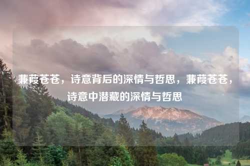 蒹葭苍苍,诗意背后的深情与哲思,蒹葭苍苍,诗意中潜藏的深情与哲思