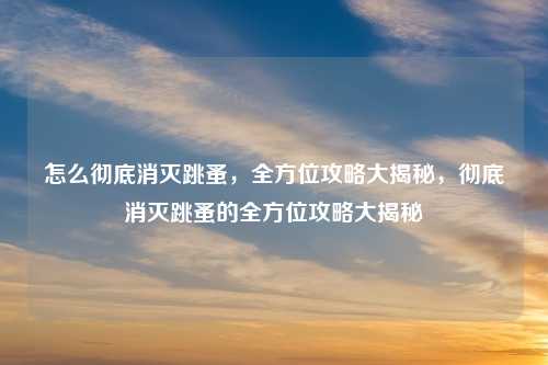 怎么彻底消灭跳蚤,全方位攻略大揭秘,彻底消灭跳蚤的全方位攻略大揭秘