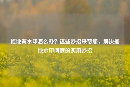 拖地有水印怎么办？这些妙招来帮您，解决拖地水印问题的实用妙招