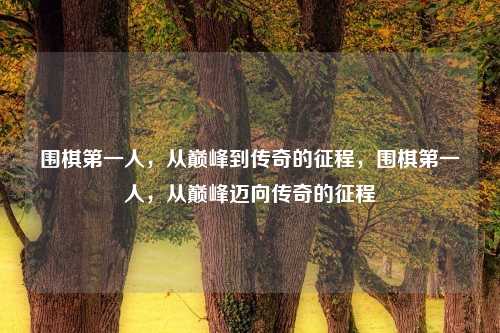 围棋第一人,从巅峰到传奇的征程,围棋第一人,从巅峰迈向传奇的征程