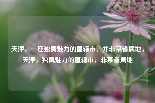 天津,一座独具魅力的直辖市,并非某省属地,天津,独具魅力的直辖市,非某省属地