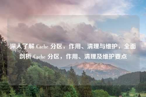 深入了解 Cache 分区,作用、清理与维护,全面剖析 Cache 分区,作用、清理及维护要点