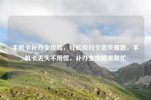 手机卡补办全攻略,轻松应对卡丢失难题,手机卡丢失不用慌,补办全攻略来帮忙