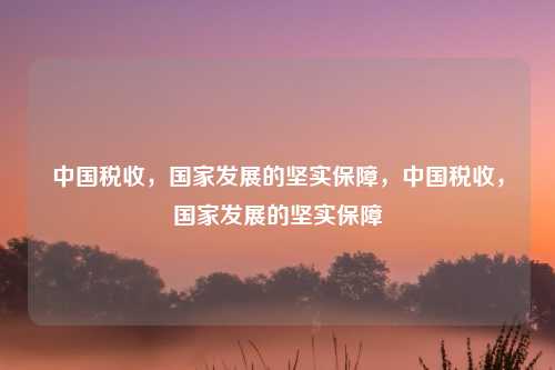 中国税收,国家发展的坚实保障,中国税收,国家发展的坚实保障