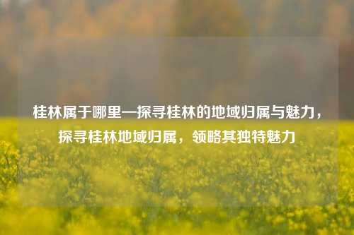 桂林属于哪里—探寻桂林的地域归属与魅力,探寻桂林地域归属,领略其独特魅力