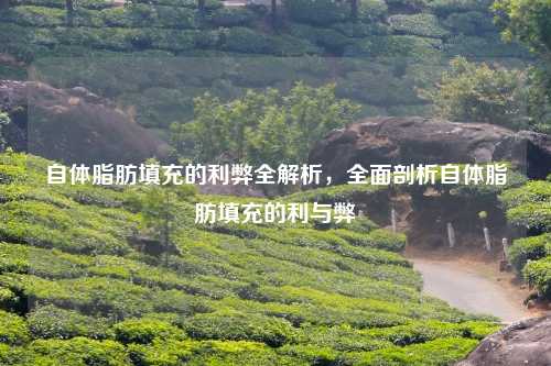 自体脂肪填充的利弊全解析,全面剖析自体脂肪填充的利与弊