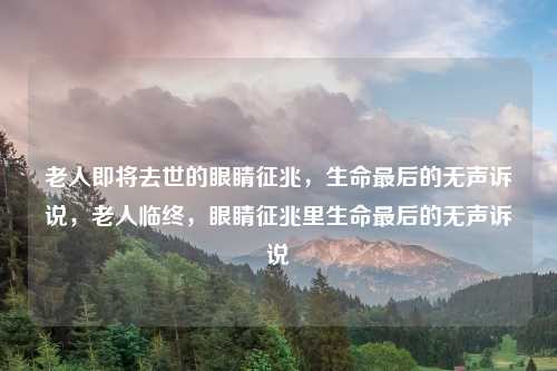 老人即将去世的眼睛征兆,生命最后的无声诉说,老人临终,眼睛征兆里生命最后的无声诉说