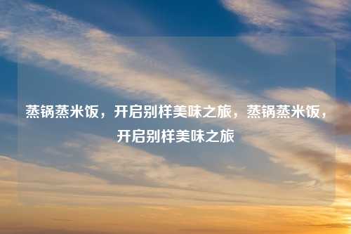 蒸锅蒸米饭,开启别样美味之旅,蒸锅蒸米饭,开启别样美味之旅