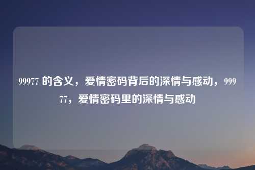 99977 的含义,爱情密码背后的深情与感动,99977,爱情密码里的深情与感动