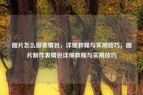 图片怎么做表情包，详细教程与实用技巧，图片制作表情包详细教程与实用技巧